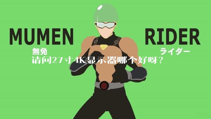 请问27寸4K显示器哪个好呀？