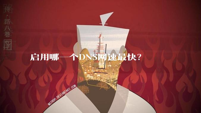 启用哪一个DNS网速最快？