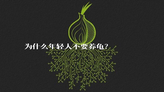 为什么年轻人不要养龟？