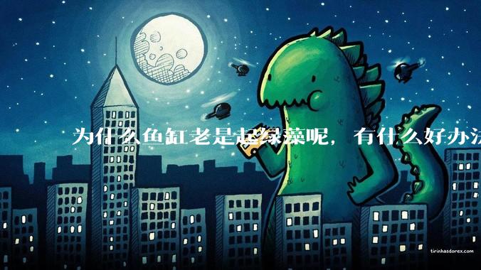 为什么鱼缸老是起绿藻呢，有什么好办法不用整天擦鱼缸？