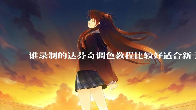 谁录制的达芬奇调色教程比较好适合新手？