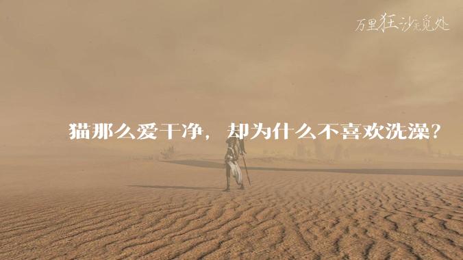 猫那么爱干净，却为什么不喜欢洗澡？