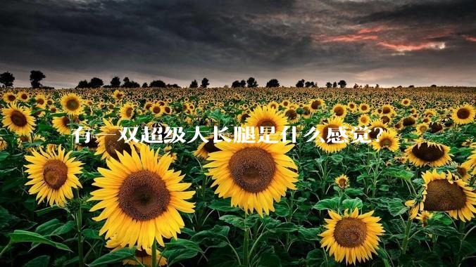 有一双超级大长腿是什么感觉？