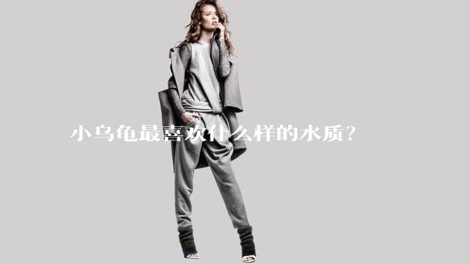 小乌龟最喜欢什么样的水质？