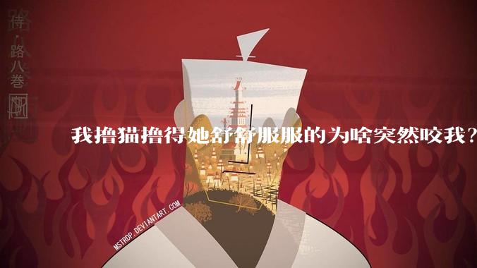 我撸猫撸得她舒舒服服的为啥突然咬我？