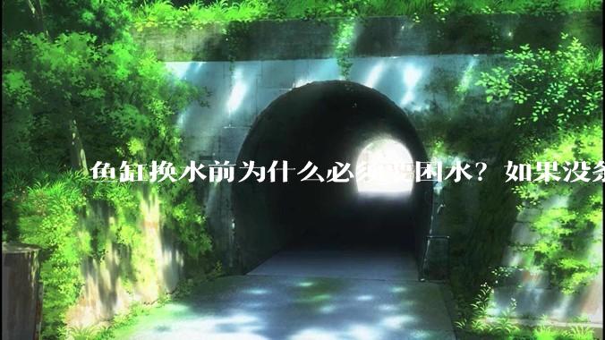 鱼缸换水前为什么必须要困水？如果没条件困水怎么办？