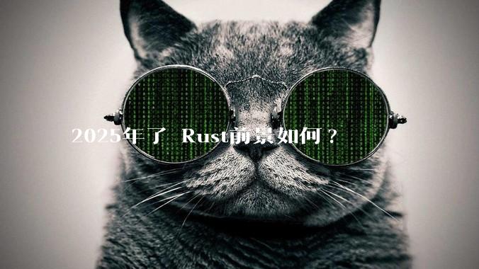 2025年了 Rust前景如何?