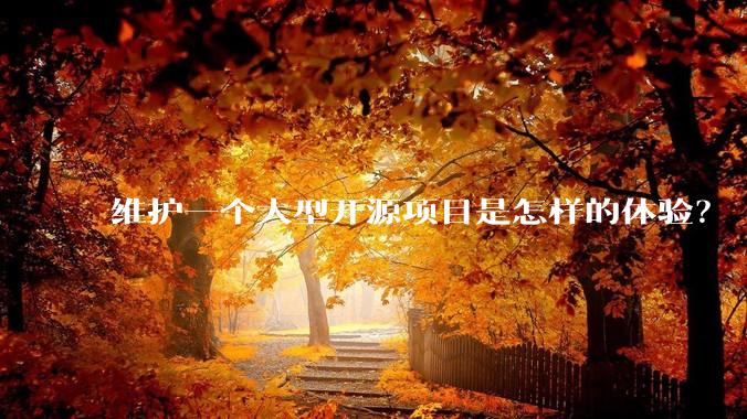 维护一个大型开源项目是怎样的体验？