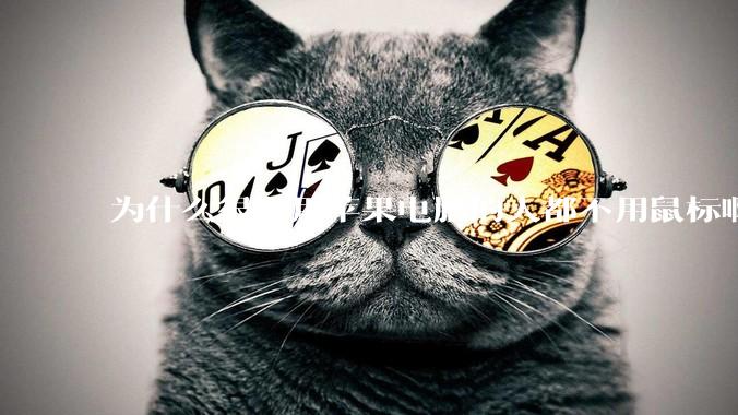 为什么很多用苹果电脑的人都不用鼠标啊?