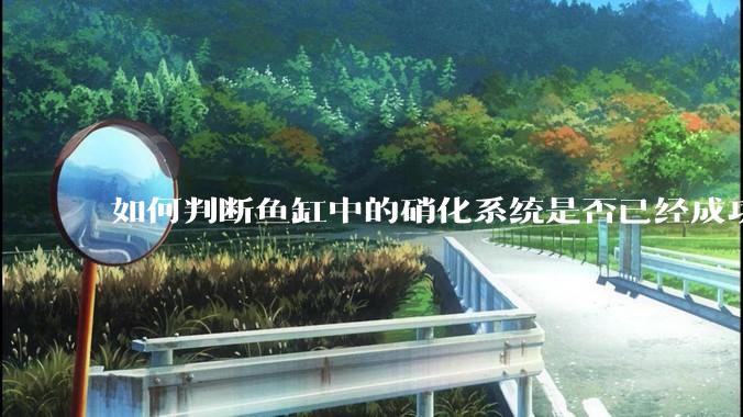 如何判断鱼缸中的硝化系统是否已经成功建立？