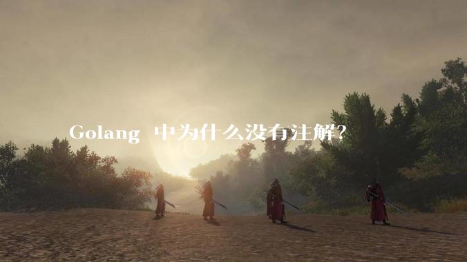 Golang 中为什么没有注解？