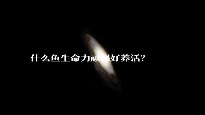 什么鱼生命力顽强好养活？