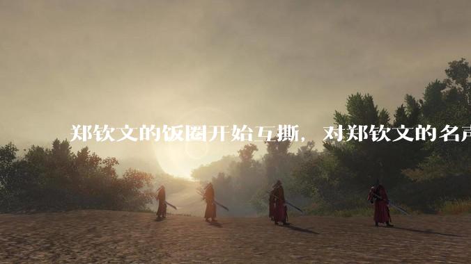 郑钦文的饭圈开始互撕，对郑钦文的名声有什么影响？郑钦文超话是否应该关闭?