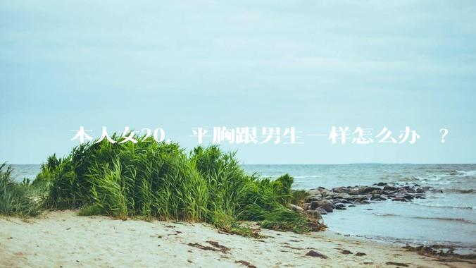 本人女20，平胸跟男生一样怎么办 ?