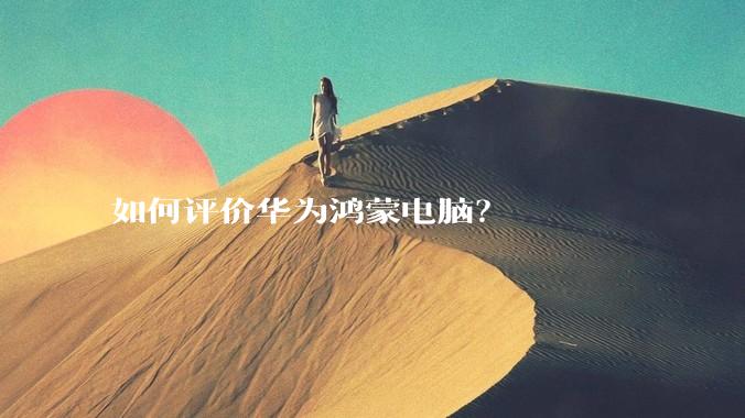 如何评价华为鸿蒙电脑？