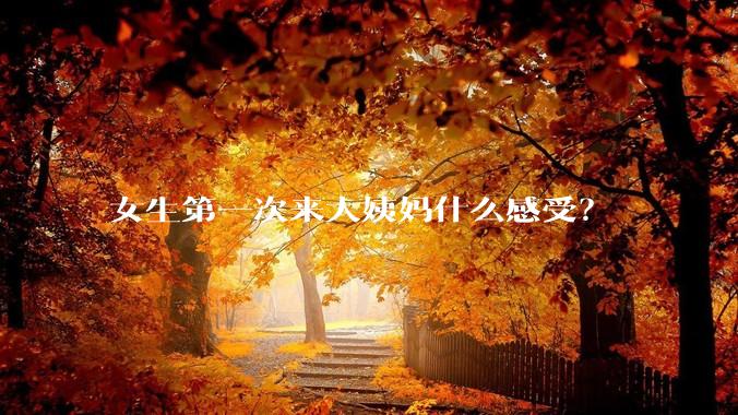 女生第一次来大姨妈什么感受？