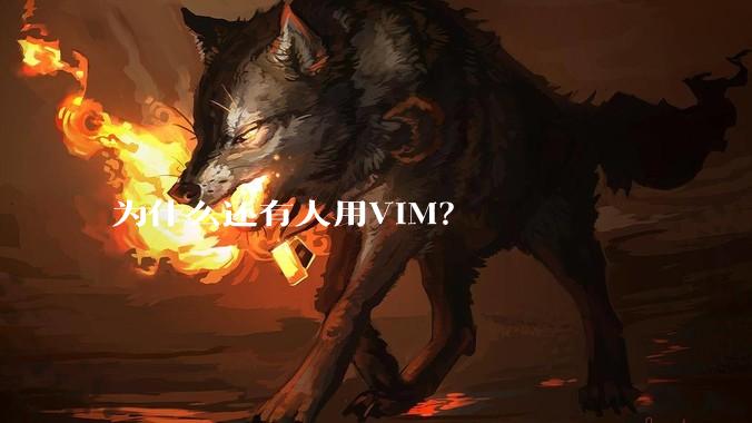 为什么还有人用VIM？
