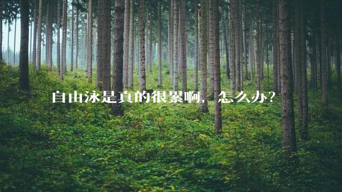 自由泳是真的很累啊，怎么办？