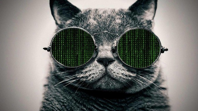 springboot框架中一个controller类可以调用多个service类吗？